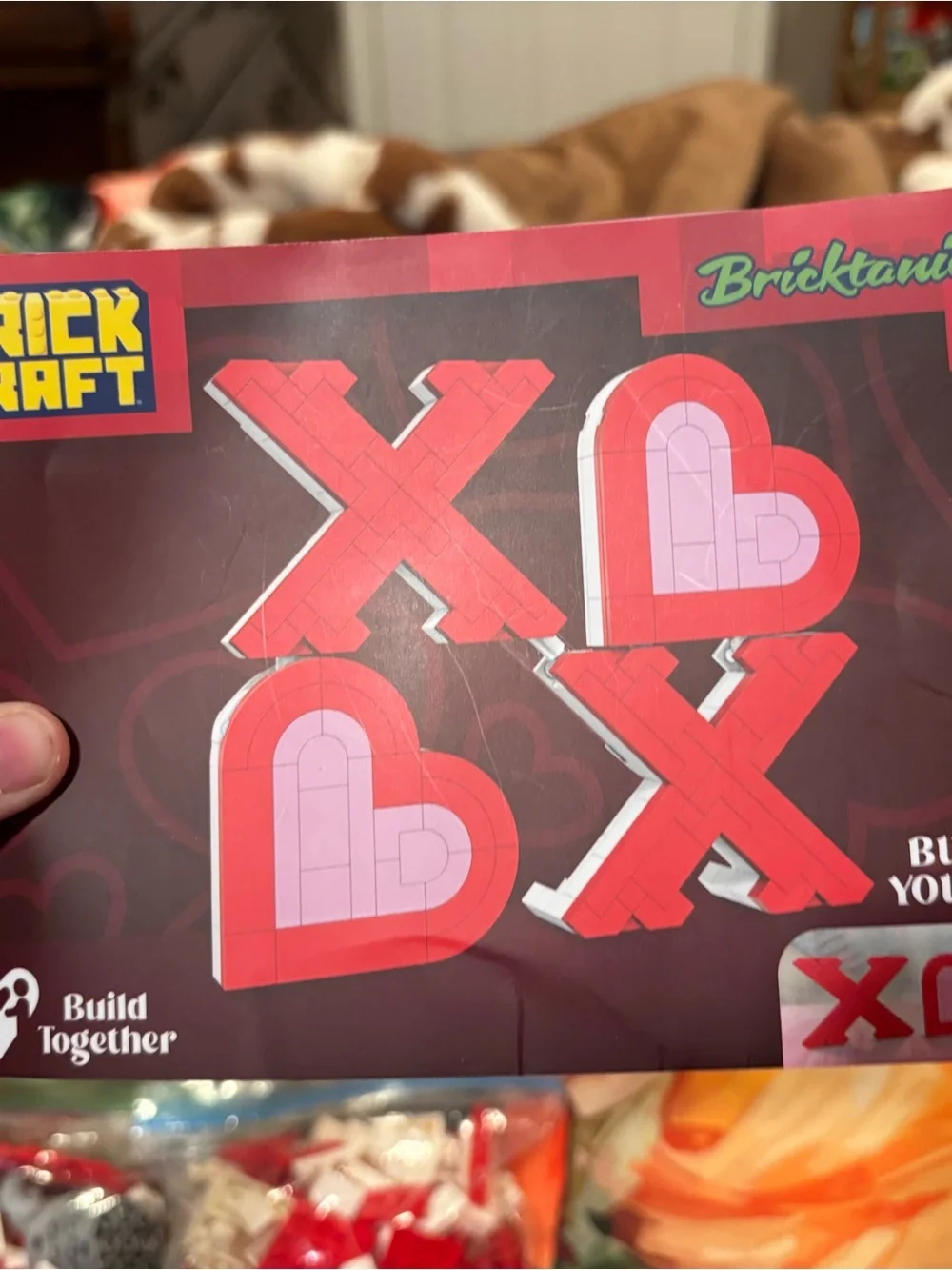 Brick Craft 'XOXO Sign' Building Set - Red & Pink